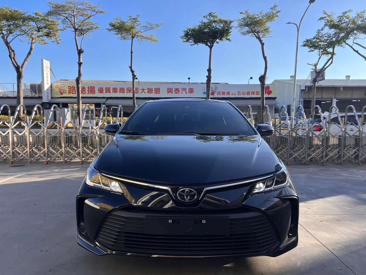 Toyota Corolla Altis 車頭正面